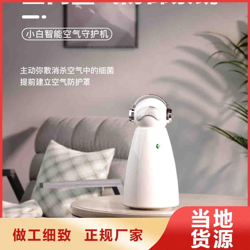 小白空气守护机车载空气净化器价格现货充足当地制造商