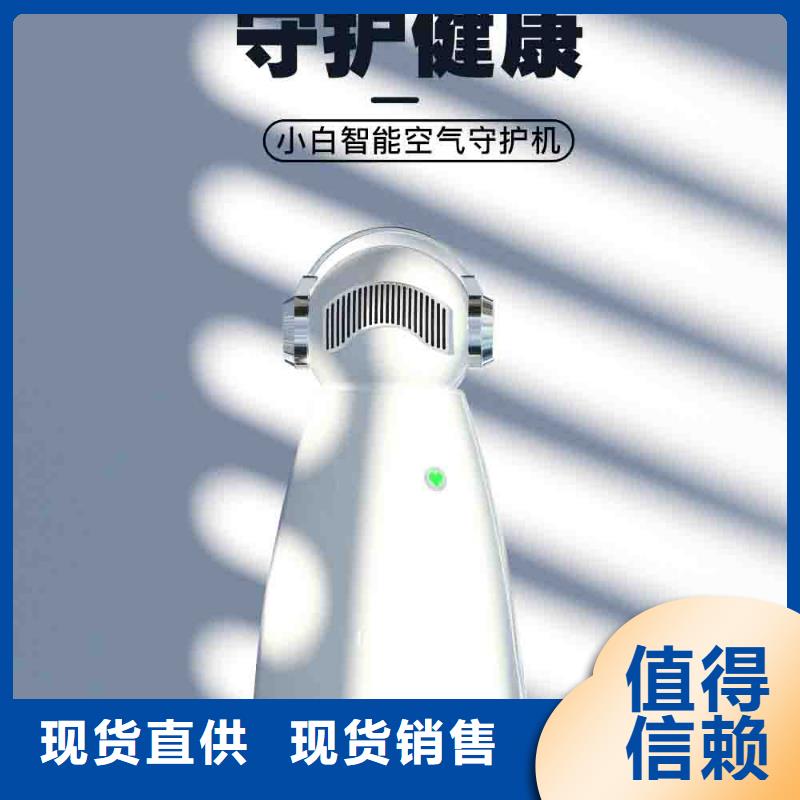 小白空气守护机车载空气净化器厂家就近发货N年大品牌