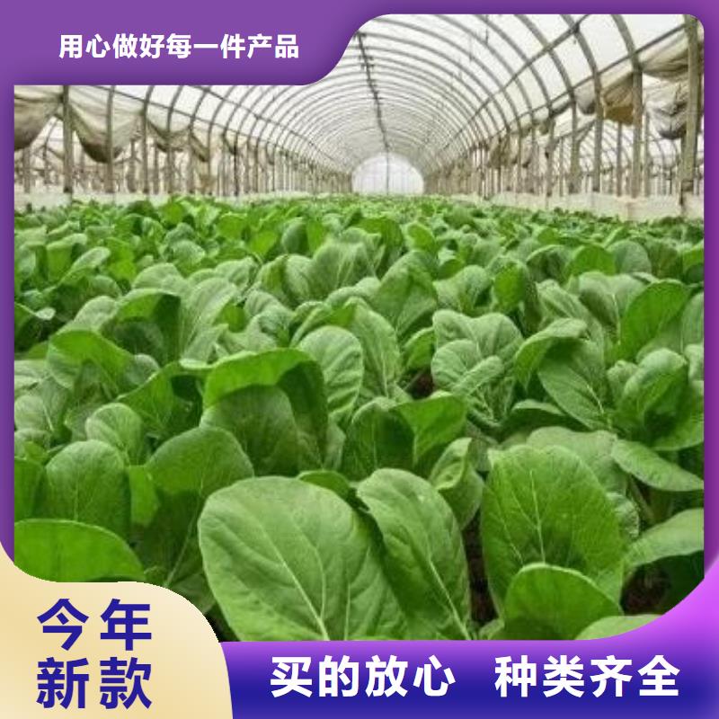佛山市勒流街道发酵鸡粪养分不断创新