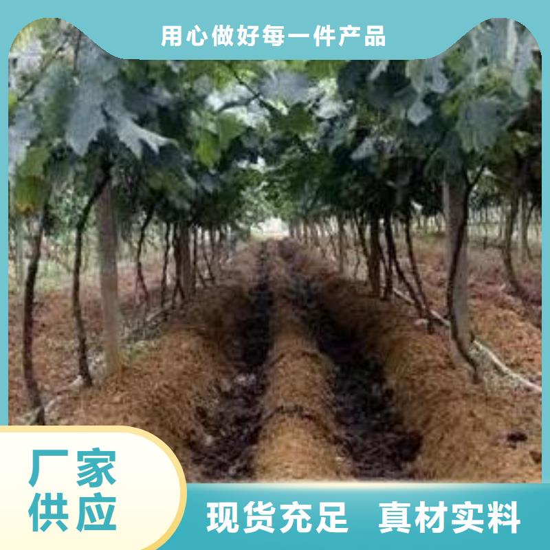 干鸡粪客户至上同城制造商