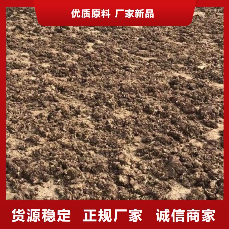 干鸡粪助力新农村建设一站式采购商家