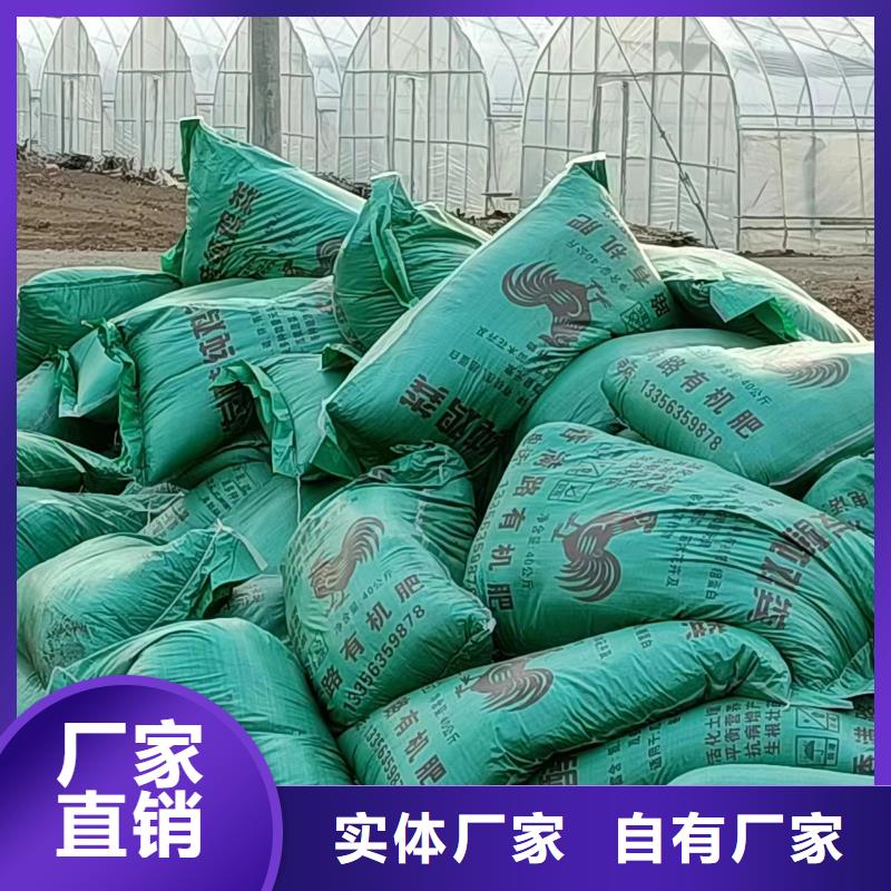 干鸡粪摇钱树口碑好实力强
