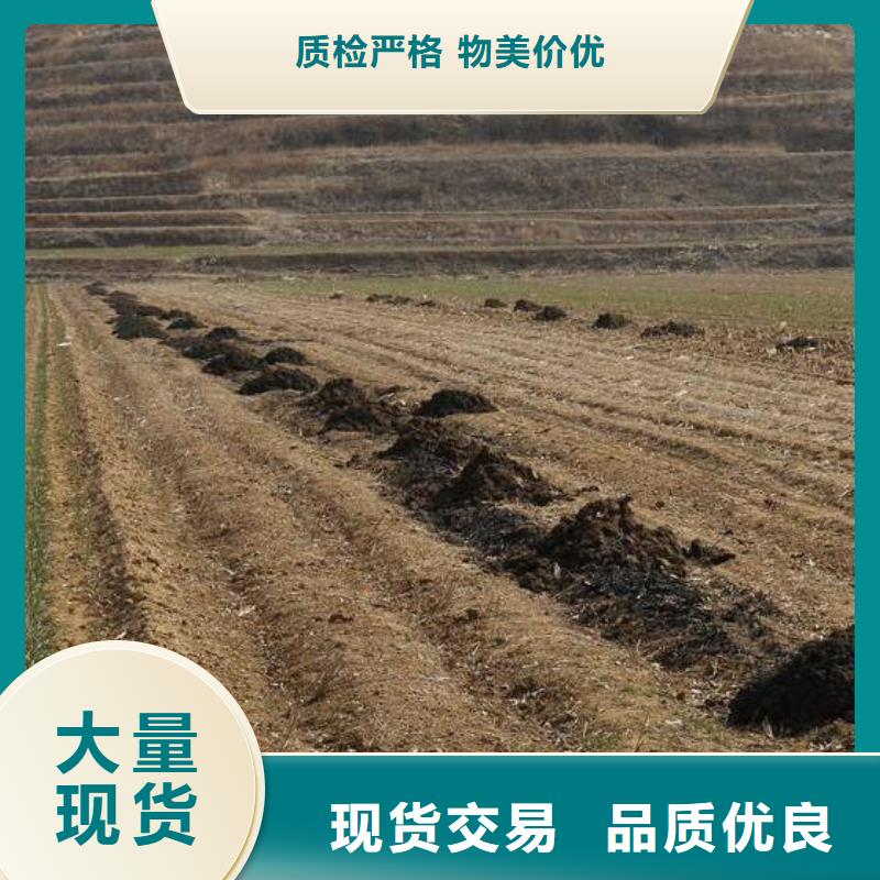 有机肥助力丰收超产品在细节