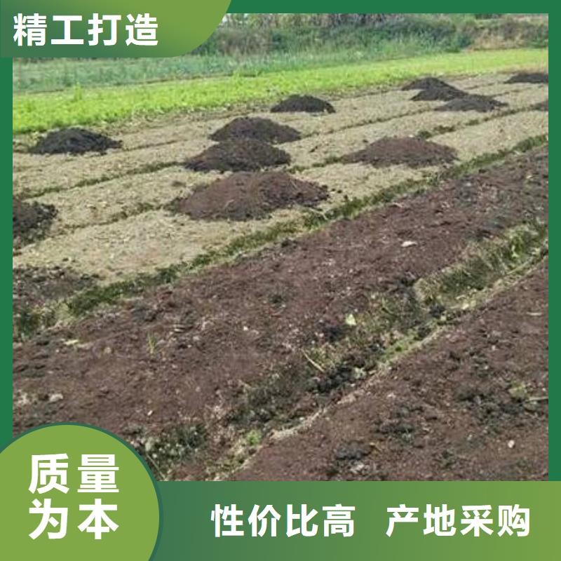 稻壳鸡粪发货快拥有核心技术优势