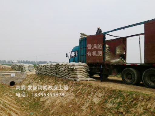 稻壳鸡粪生根壮苗质量上乘