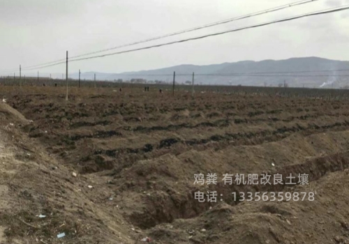 鸡粪-稻壳鸡粪质检合格出厂的图文介绍