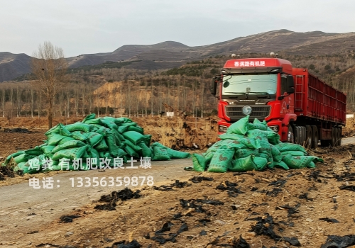 发酵羊粪质量上乘