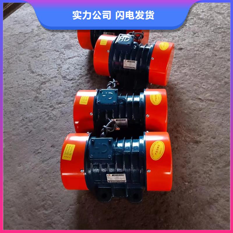 防爆振动电机普通卧式振动电机精致工艺同城经销商
