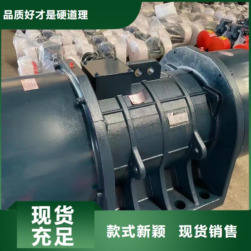 防爆振动电机化工振动筛实力公司当地货源