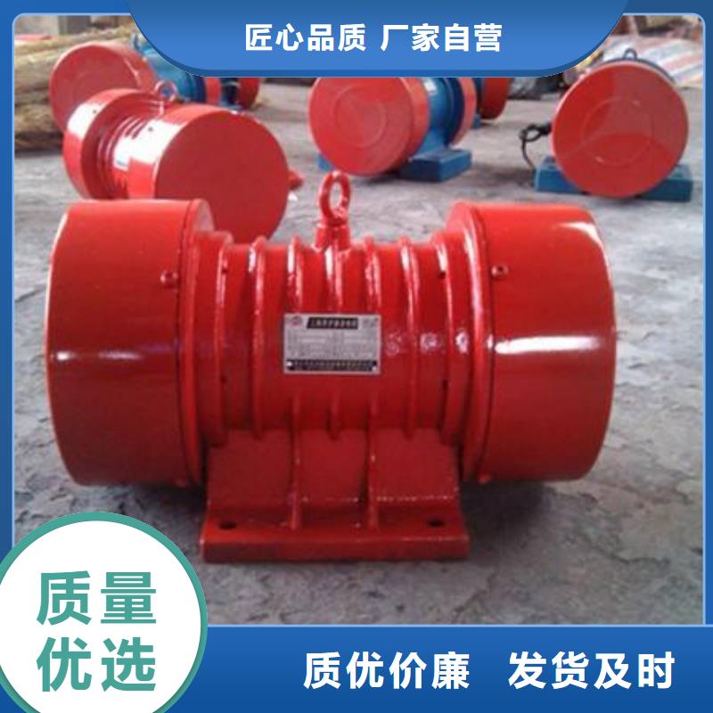 TZD71-6C振动电机批发价本地生产商