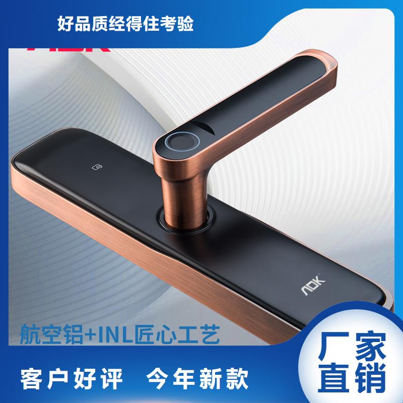 智能锁批发智能锁源厂直接供货现货快速采购