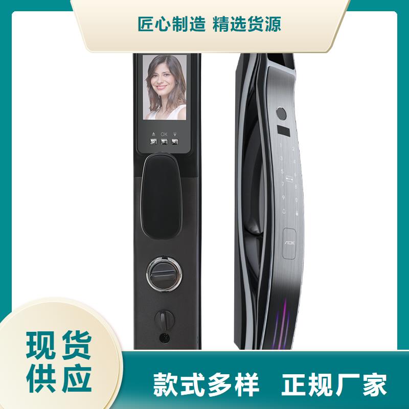 智能锁人脸识别智能锁供应厂家直销供货稳定当地生产商
