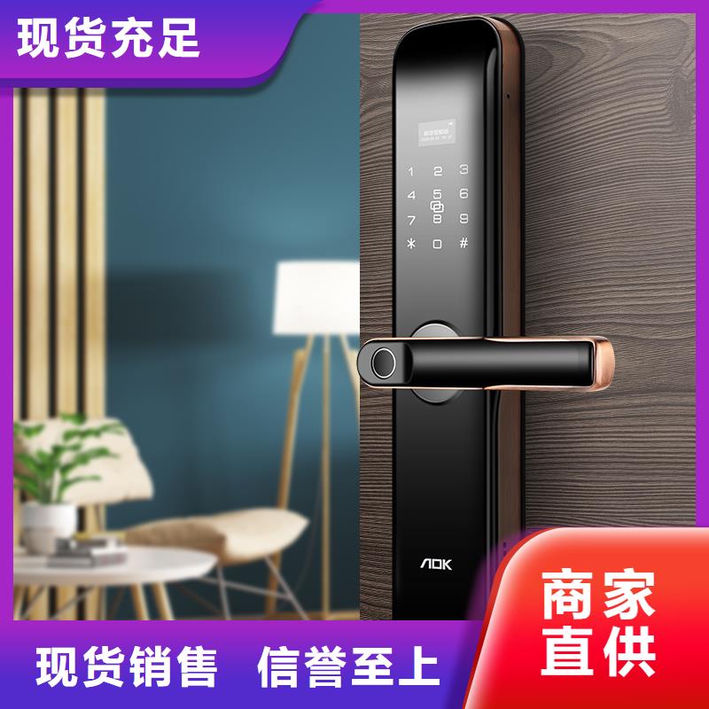 智能锁爱迪凯智能锁好品质选我们当地生产商