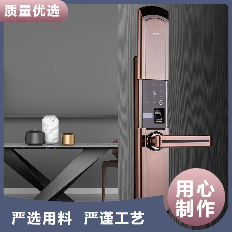 智能锁人脸识别智能锁多年行业经验同城制造商