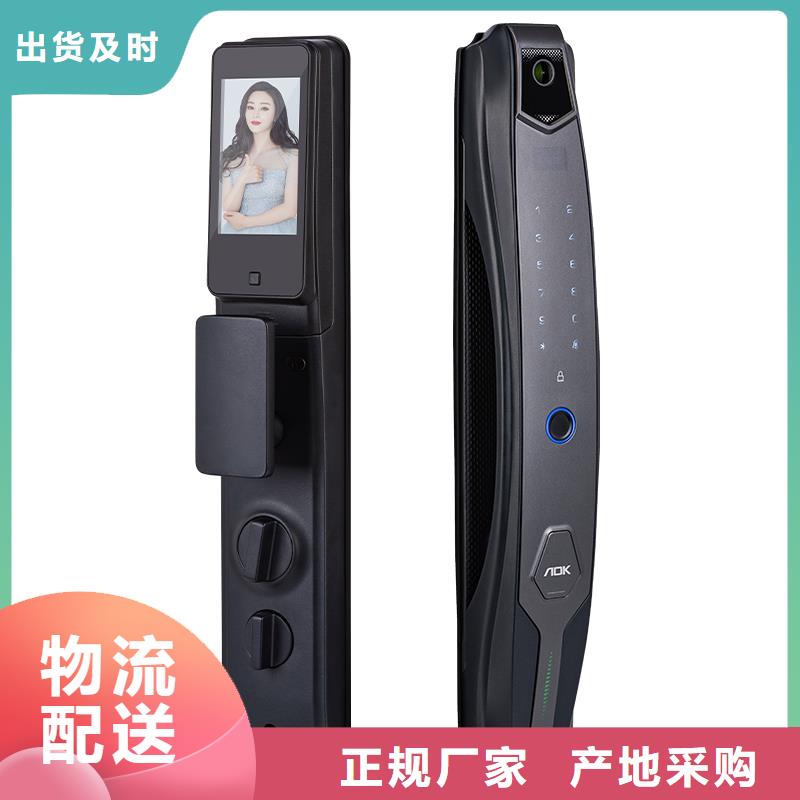 智能锁人脸识别智能锁公司厂家规格全支持大小批量采购