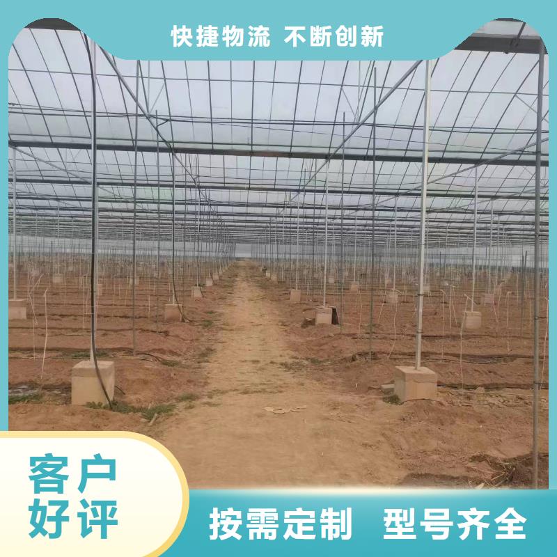温室大棚,热镀锌光伏支架专业供货品质管控今日价格