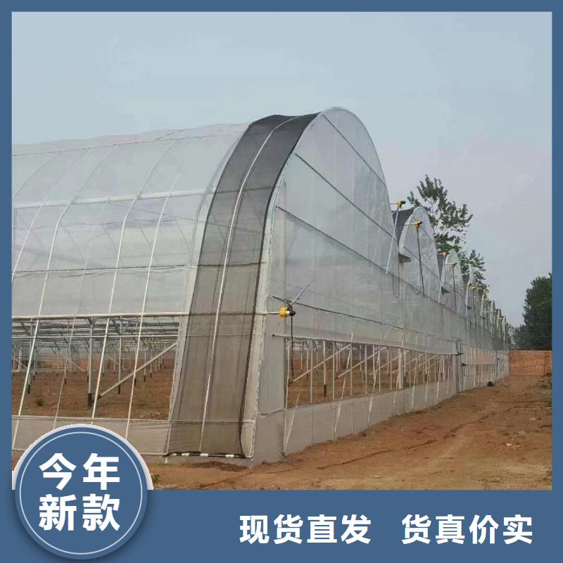 【温室大棚】-光伏支架厂家货源稳定款式多样