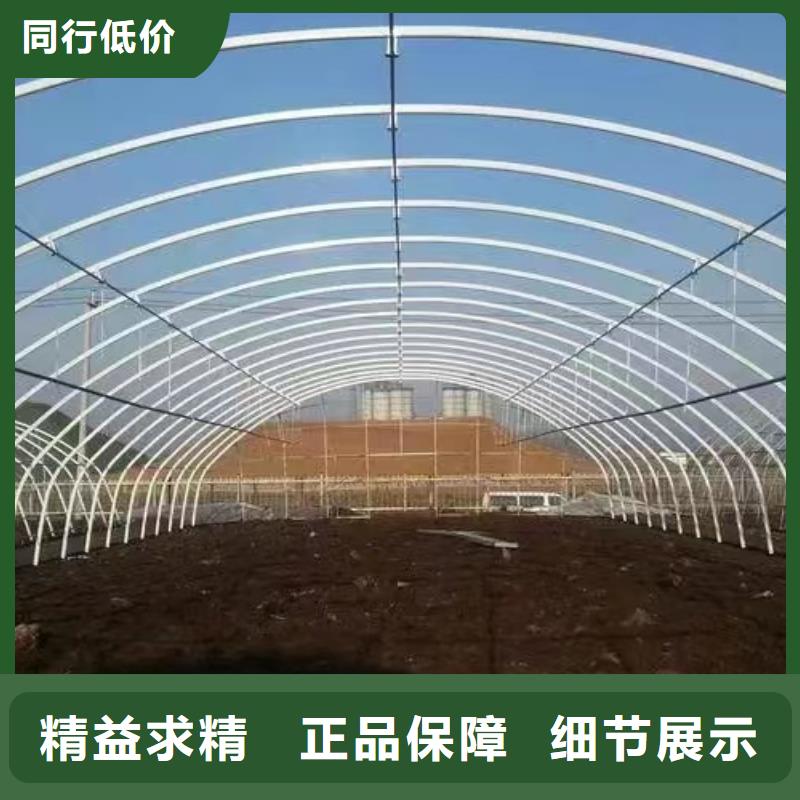 【薄膜连栋温室】【避雨棚】热镀锌细节决定成败