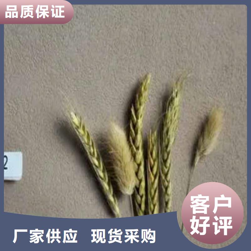 灰泥雅晶石今日价格当地货源