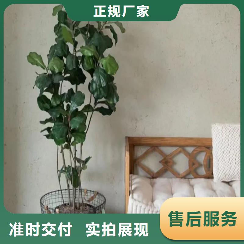 民宿客栈稻草漆施工全包价源头工厂同城服务商