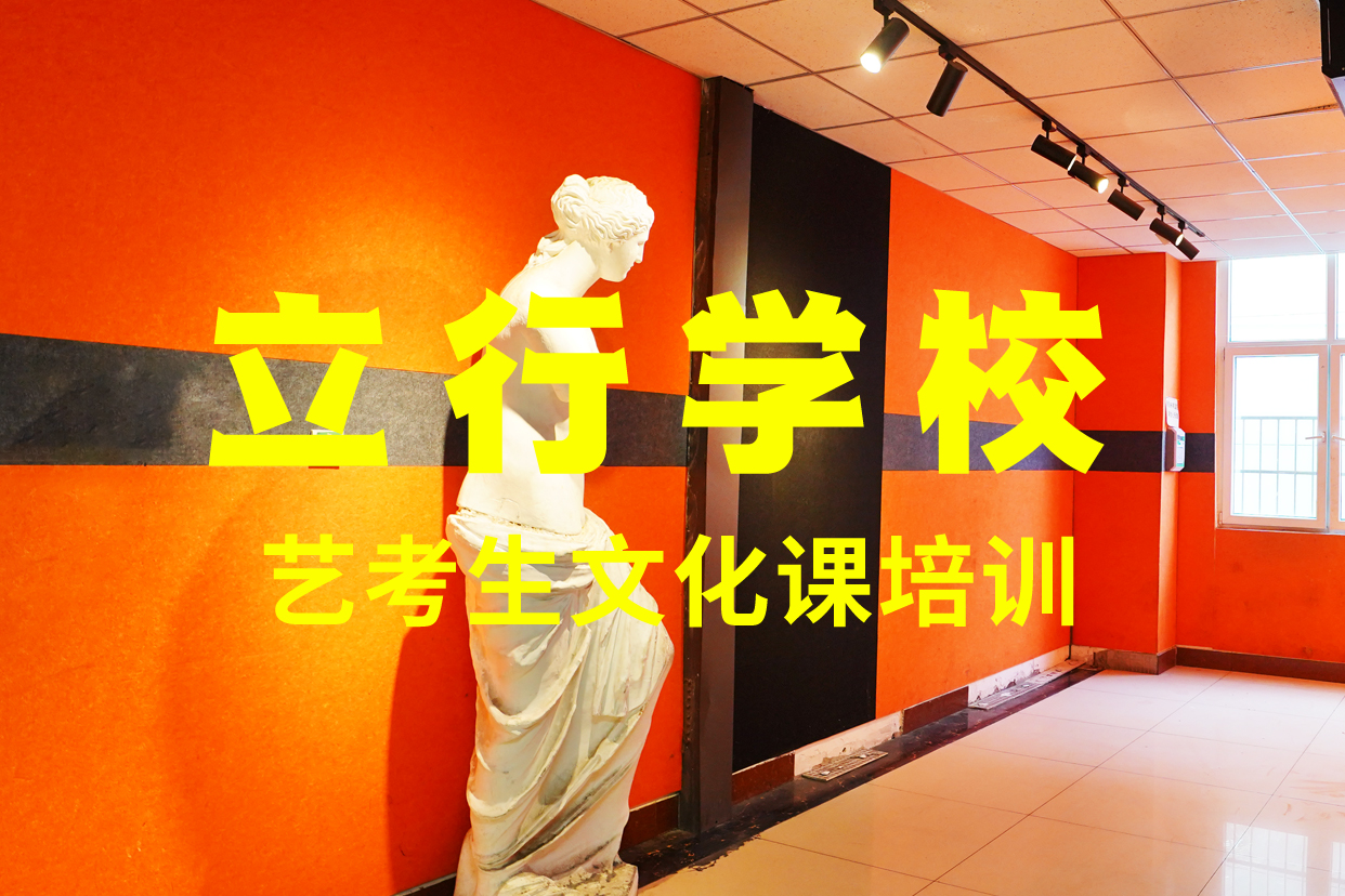 艺考文化课补习高考补习学校课程多样手把手教学