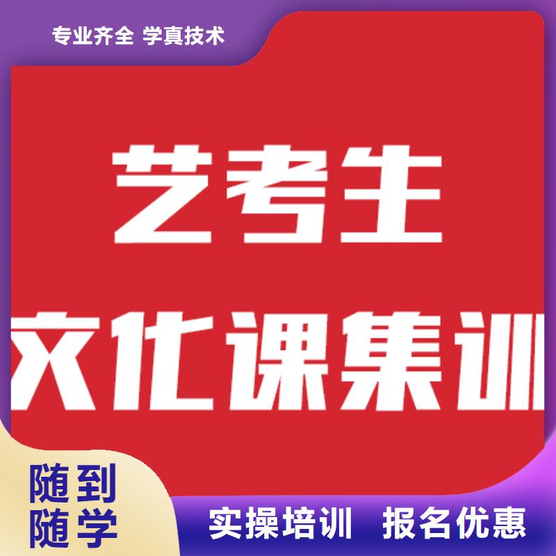 艺考文化课艺考一对一教学技能+学历理论+实操