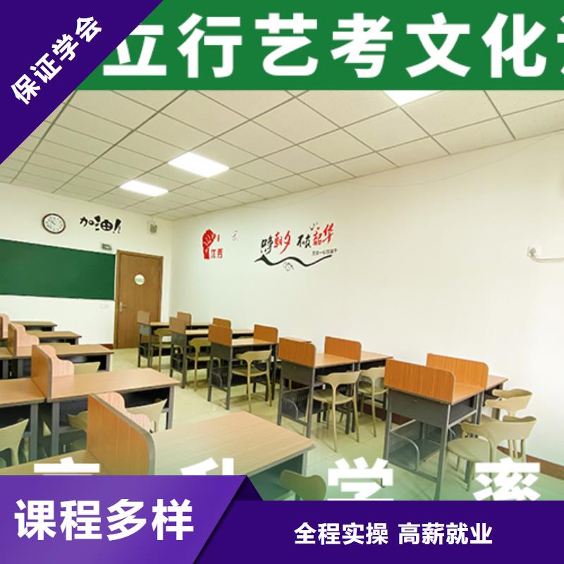 艺考文化课补习艺考培训老师专业正规学校