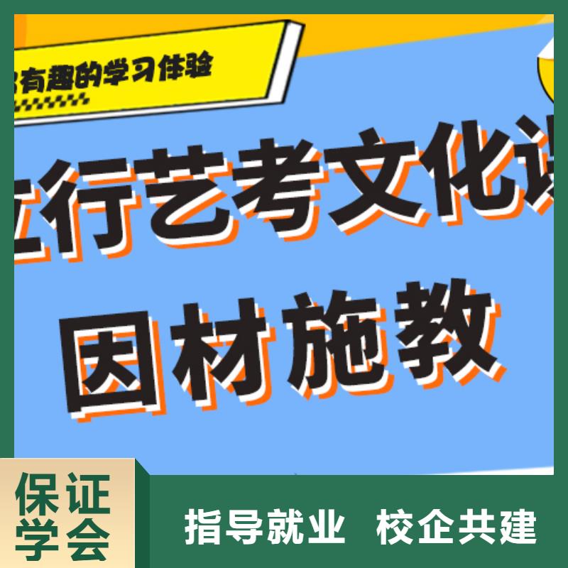 艺考文化课补习【艺考生面试辅导】手把手教学免费试学
