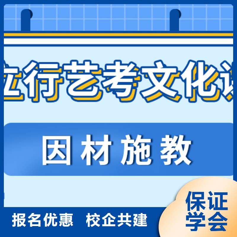 艺术生文化课,美术生文化课培训理论+实操当地生产厂家