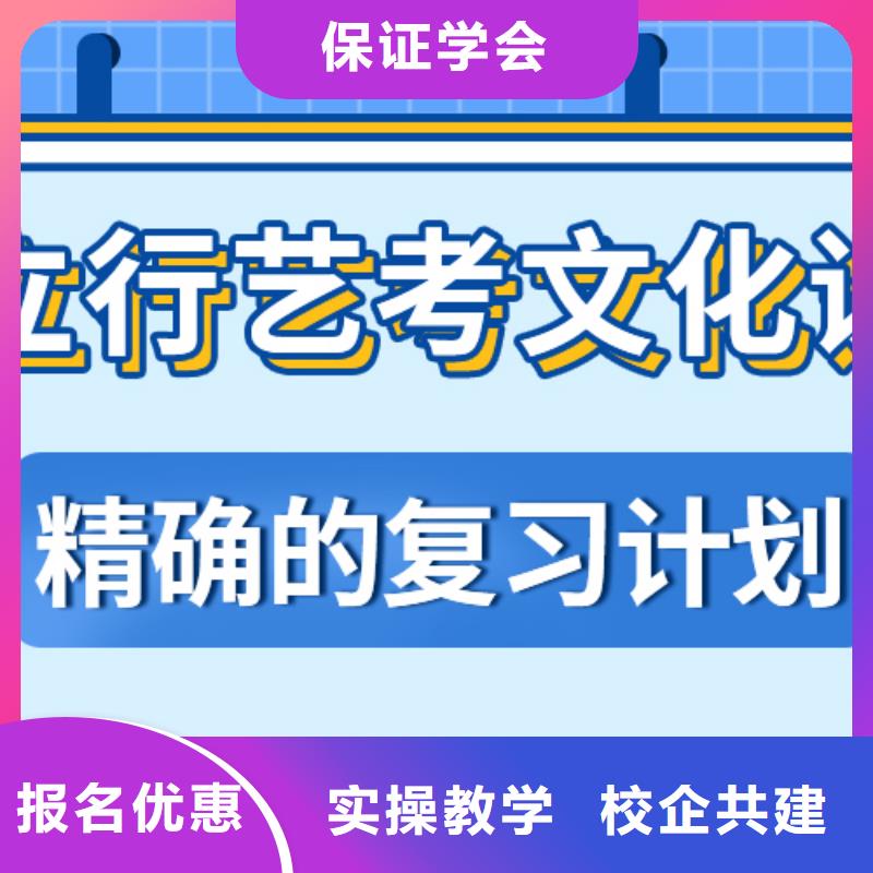 艺术生文化课美术艺考保证学会老师专业