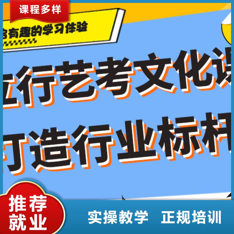 艺术生文化课艺术生文化补习保证学会理论+实操