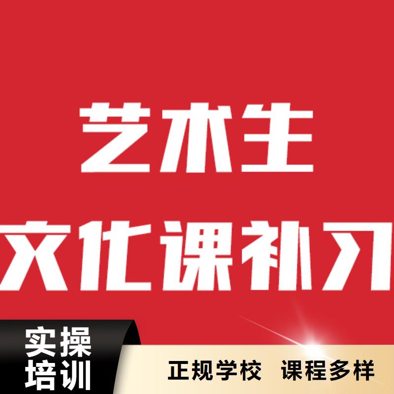 艺考文化课培训艺考复读清北班正规学校学真技术