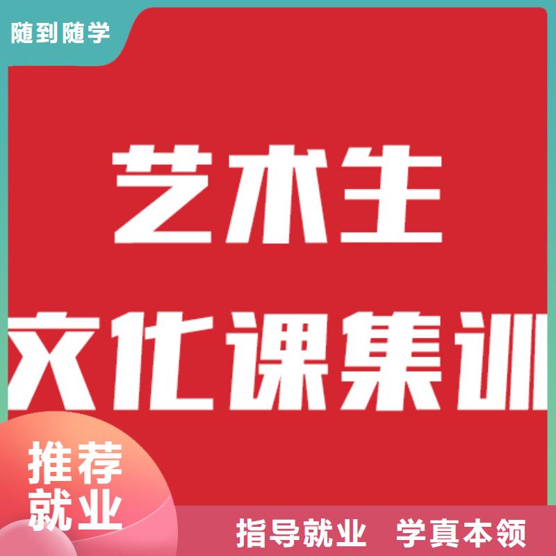 【艺考文化课培训】,艺考辅导学真技术全程实操
