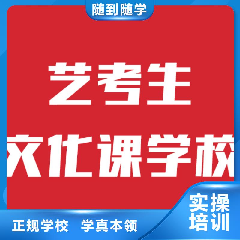 艺考文化课培训高考志愿一对一指导理论+实操正规培训