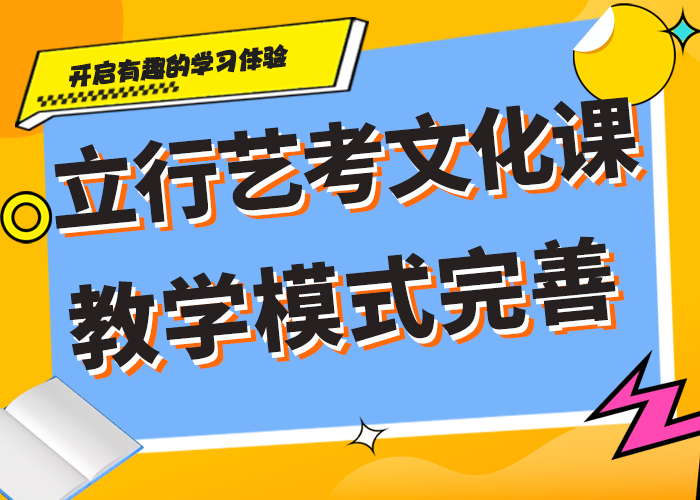 艺考文化课【高考复读周日班】理论+实操当地品牌