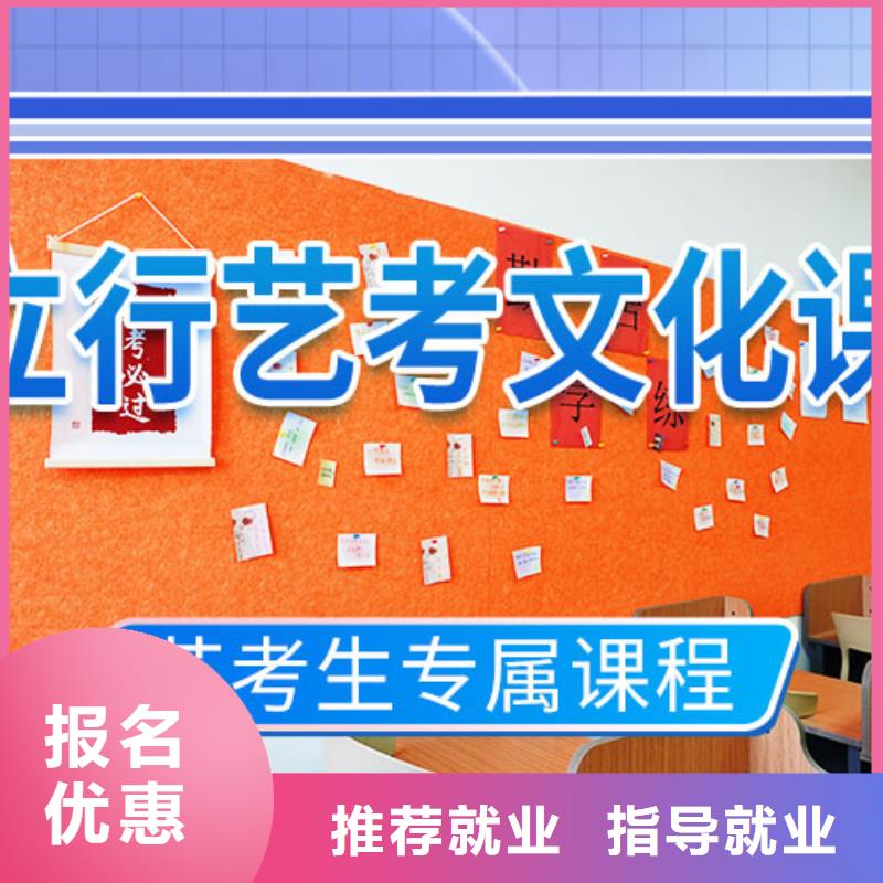 艺考文化课辅导艺术生文化补习学真本领当地服务商
