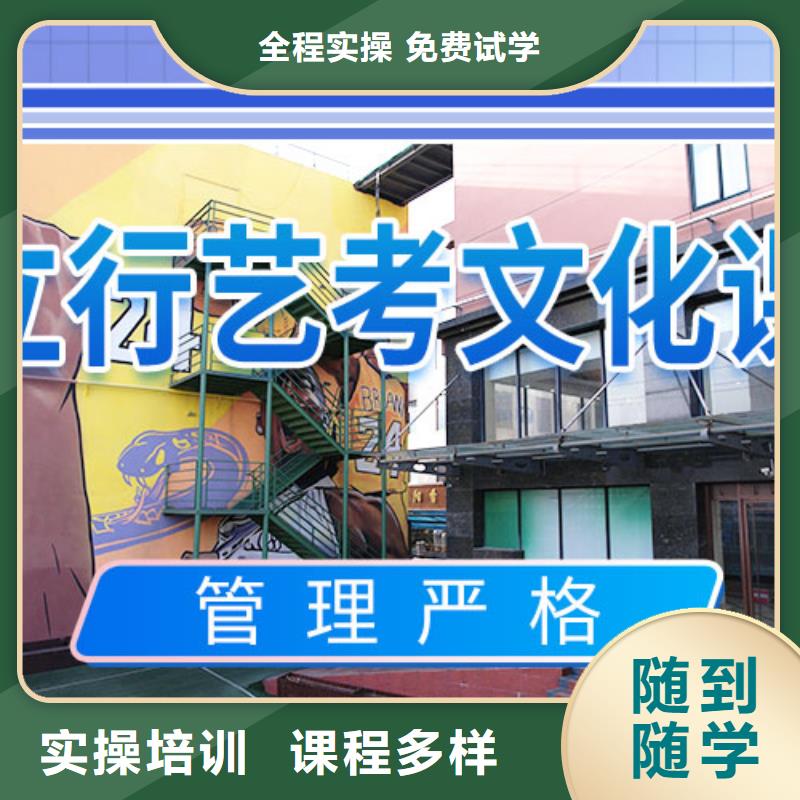 艺考文化课补习艺考一对一教学理论+实操就业