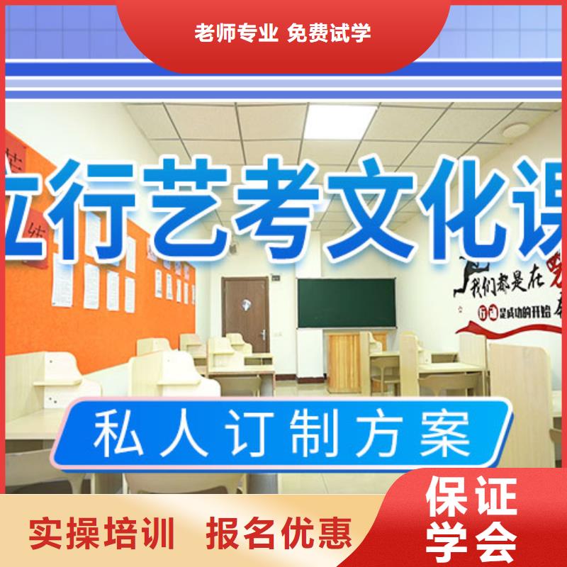艺考文化课补习【高中一对一辅导】课程多样本地公司