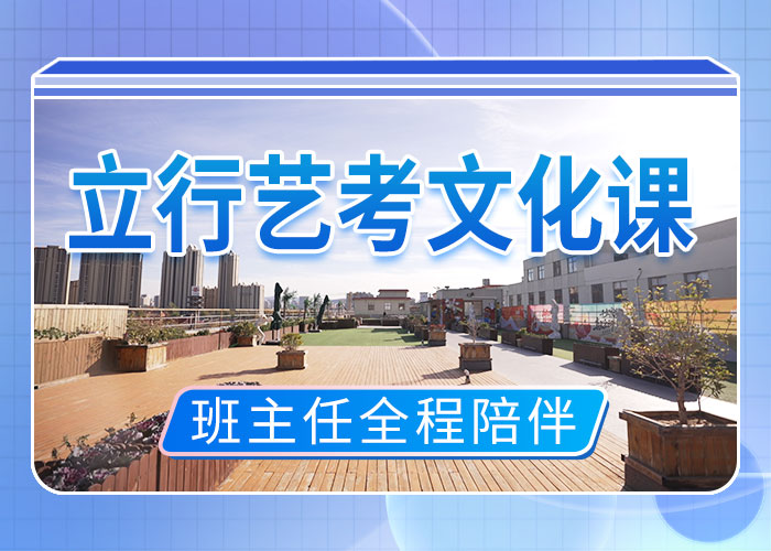 艺考文化课集训高中一对一辅导指导就业本地生产厂家