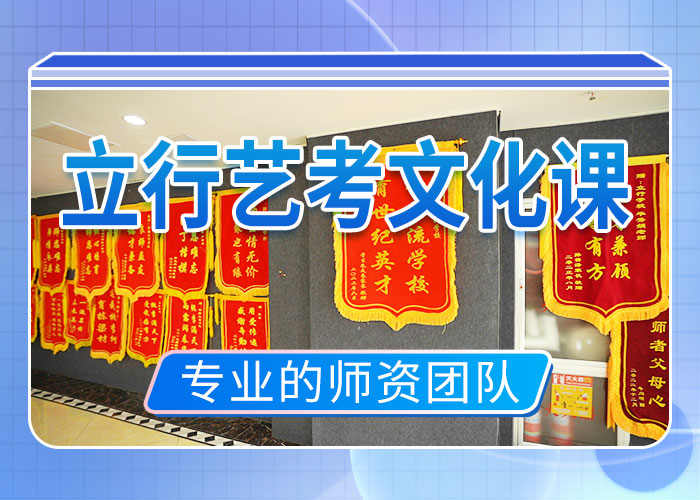 艺术生文化课补习学校有几家当地制造商