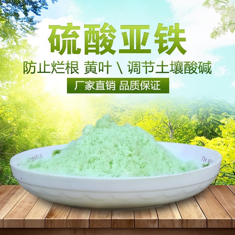 一水硫酸亚铁现货批发本地供应商