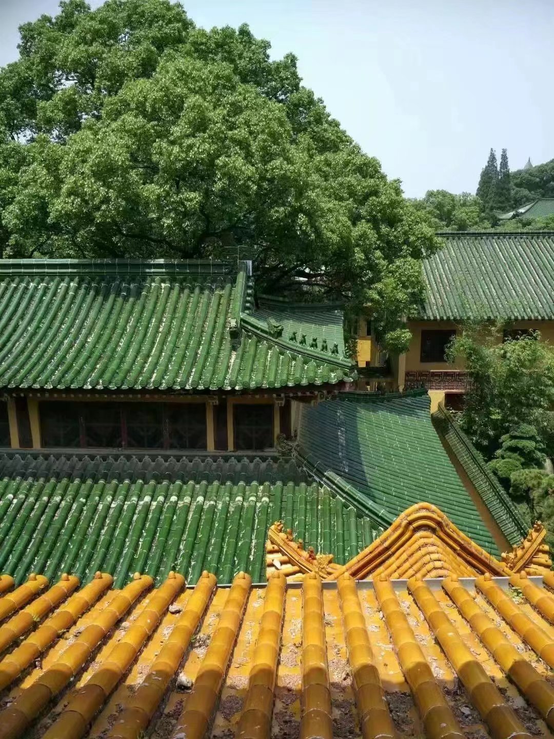 【金属屋面防水生物酶土壤固化剂拒绝中间商】