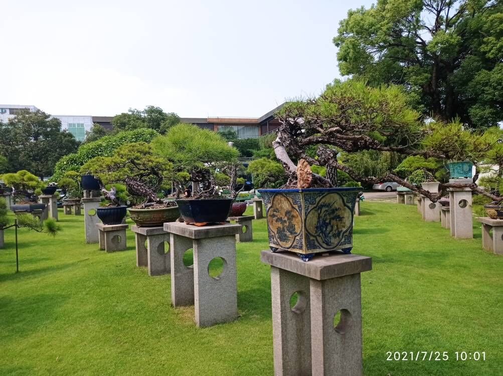 底泥净化剂污水池废水处理品质过关
