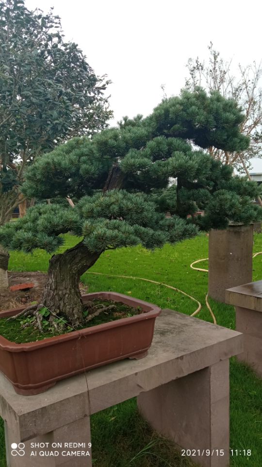 土壤固化剂从厂家买售后有保障库存充足