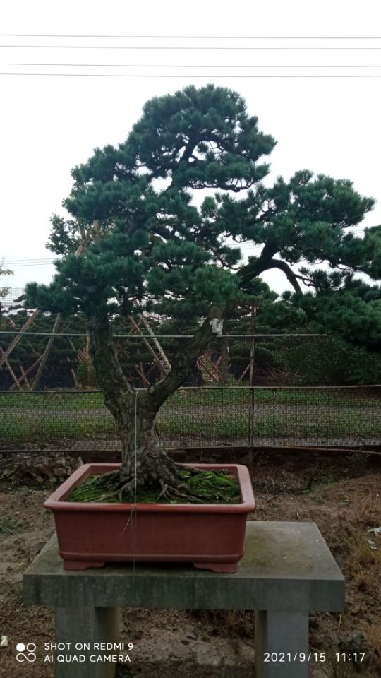 缮淤泥固化剂现货充足行业优选