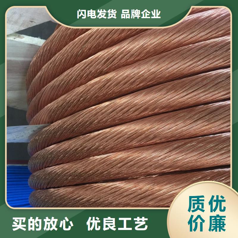 镀锡铜绞线标准近期行情含税含运费同城服务商