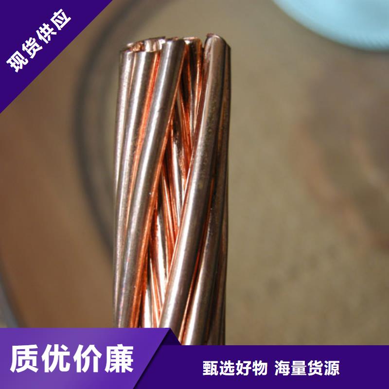 【铜绞线镀锡铜绞线让利客户】本地品牌