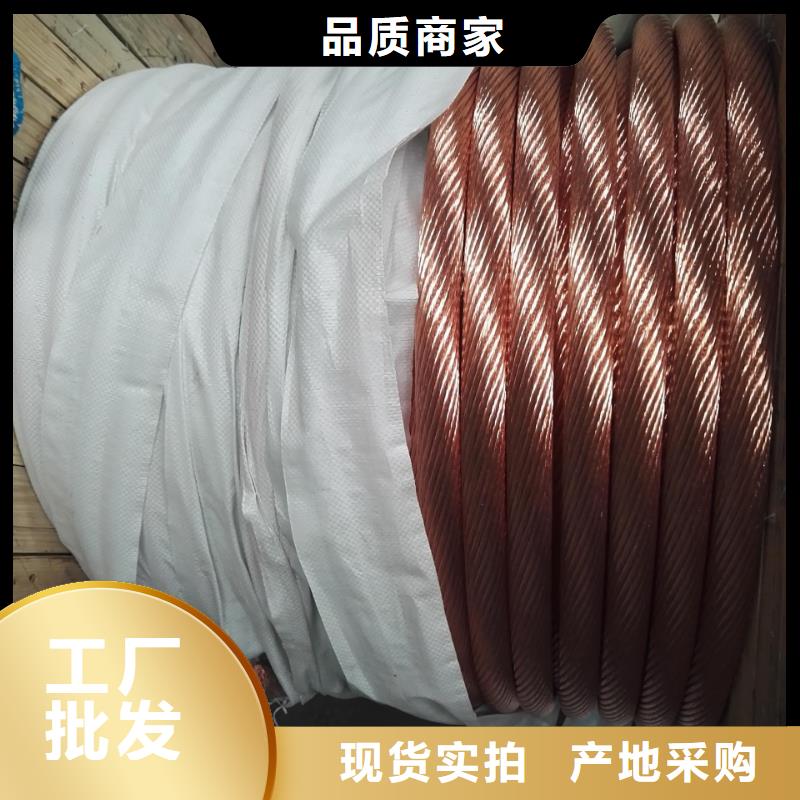 镀锡铜绞线的氟塑料护套制作工艺流程源头厂家一米多少钱实地大厂