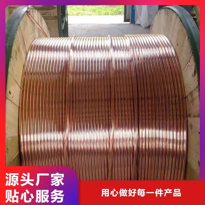 镀锡铜绞线的氟塑料护套制作工艺流程常用指南一米多少钱[本地]供应商