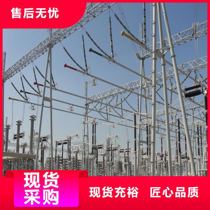 管母线-镀锡铜绞线欢迎来厂考察行业优选